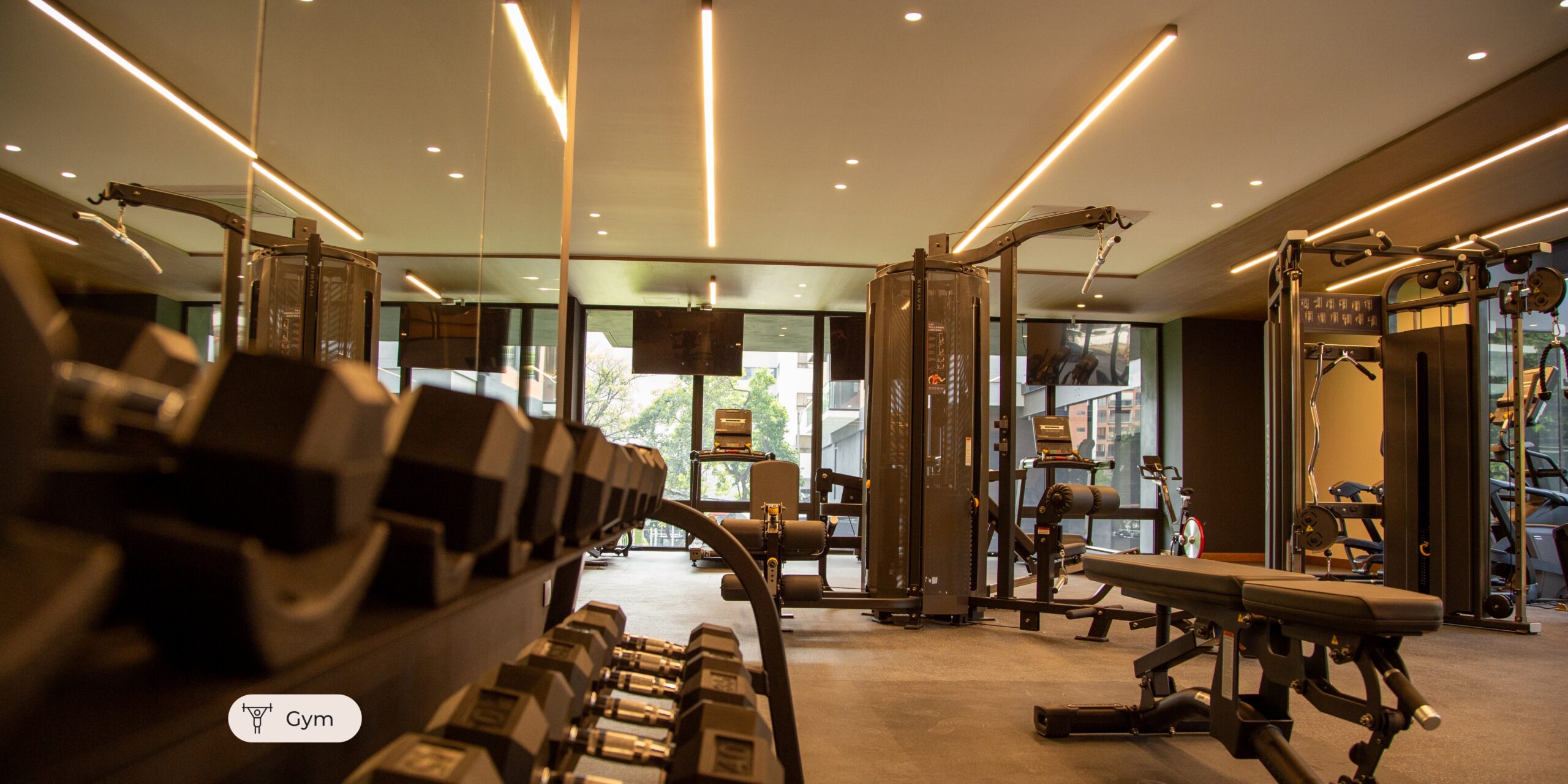 gym